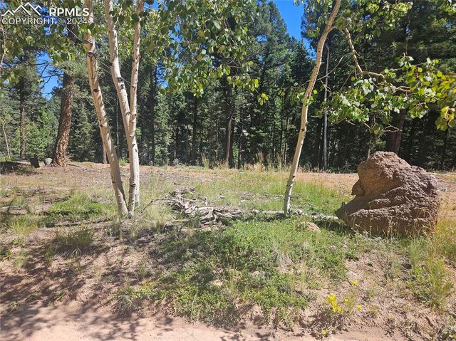 $59,500 | 2725 North Mountain Estates Road | Colorado Mountain Estates