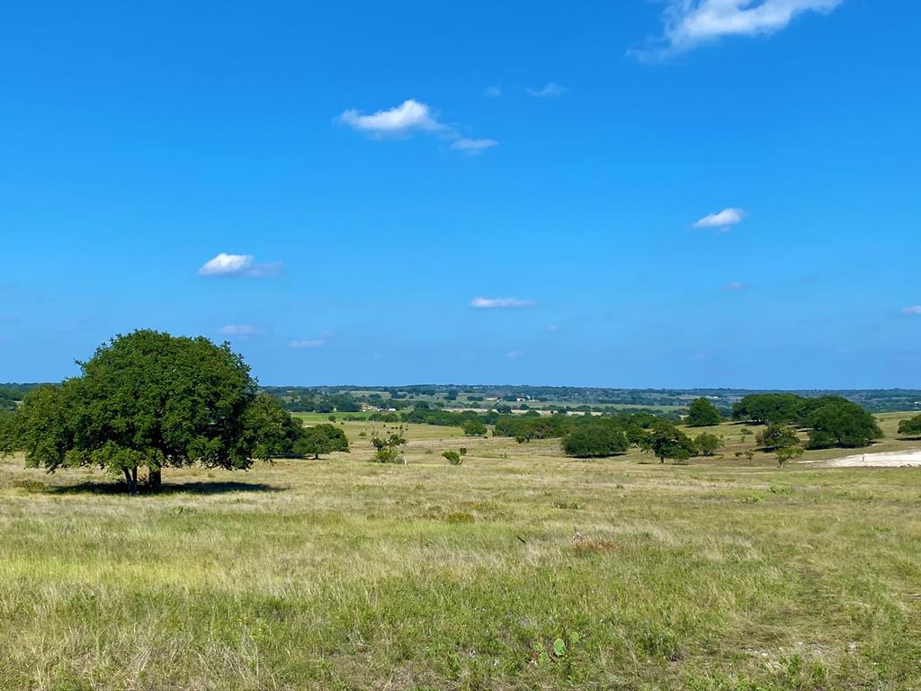 a view of a field with an ocean