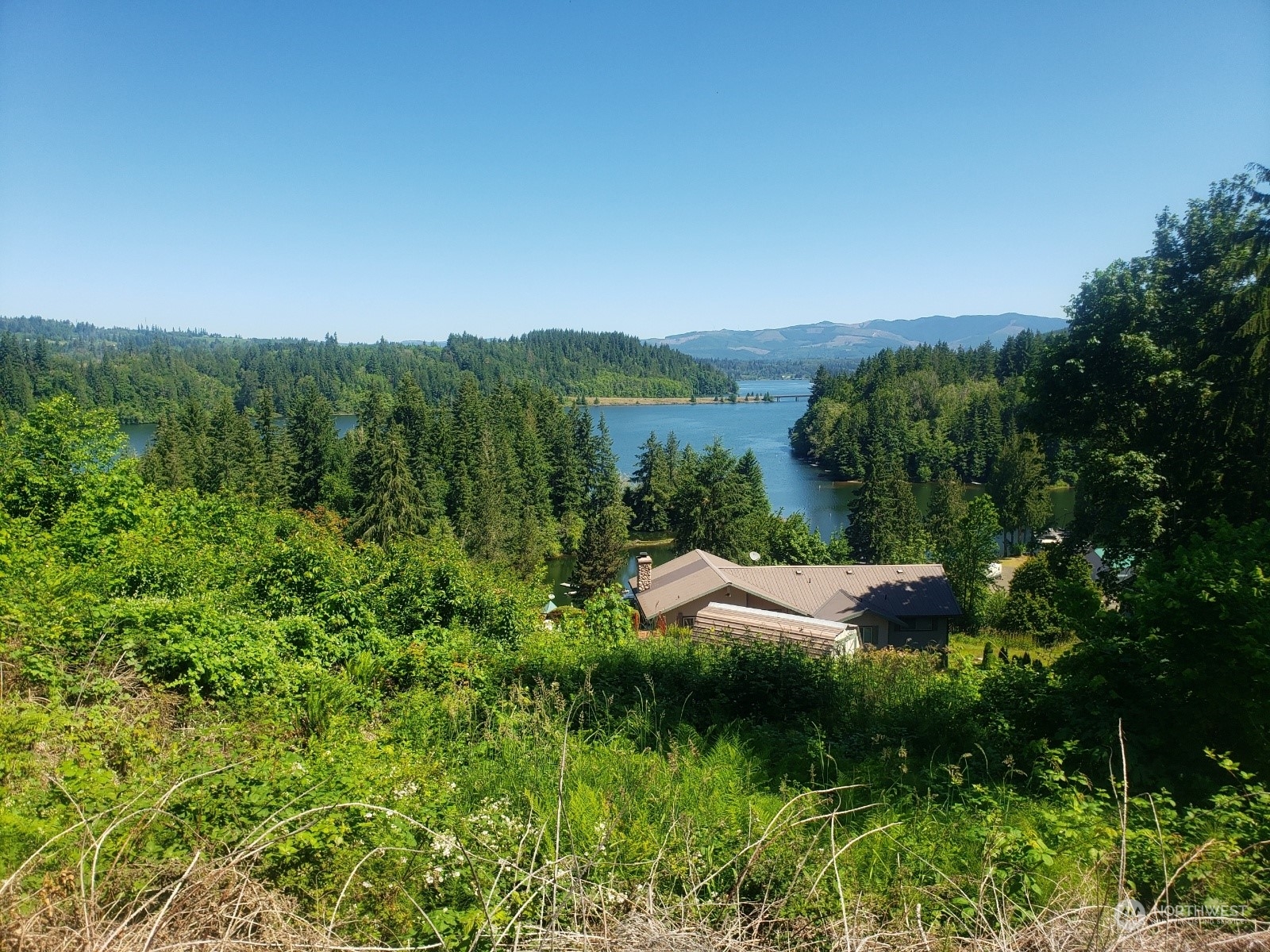 a view of a lush green outdoor space with a lake view