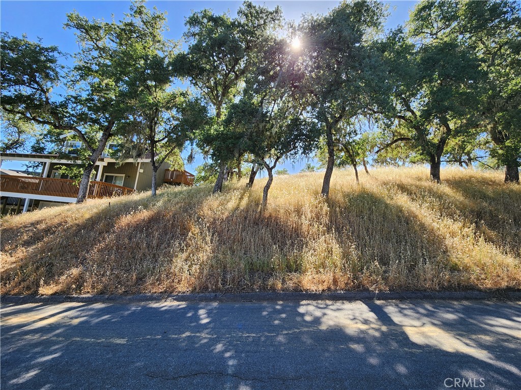 a view of a yard with an trees