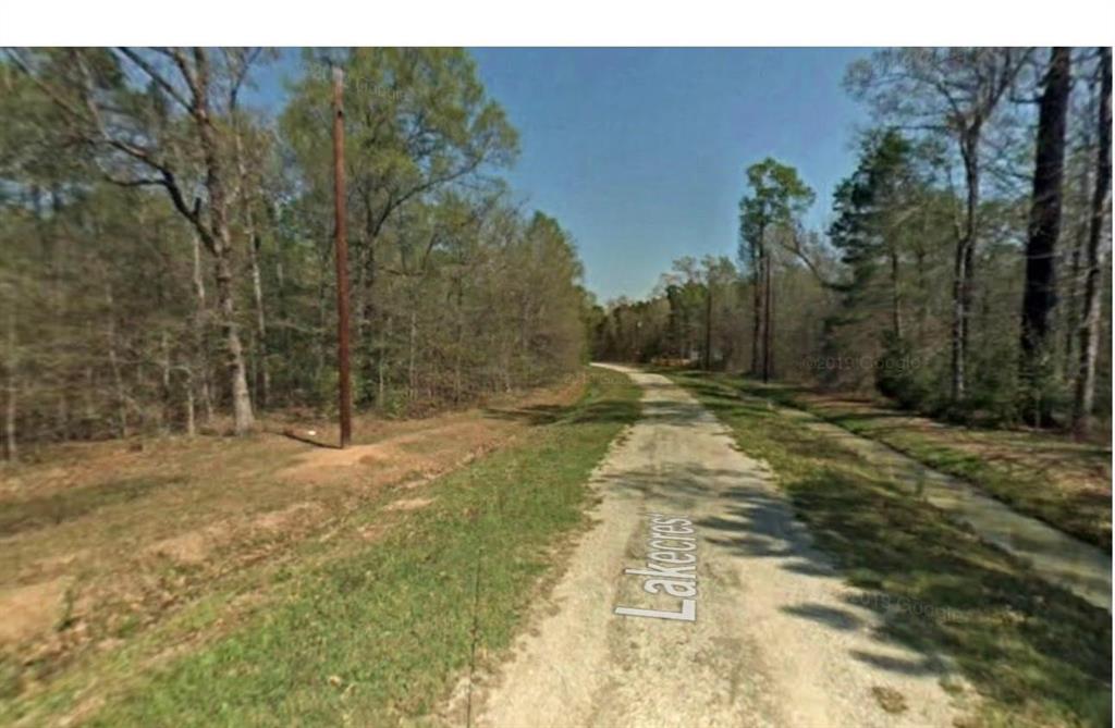 a view of a yard with trees