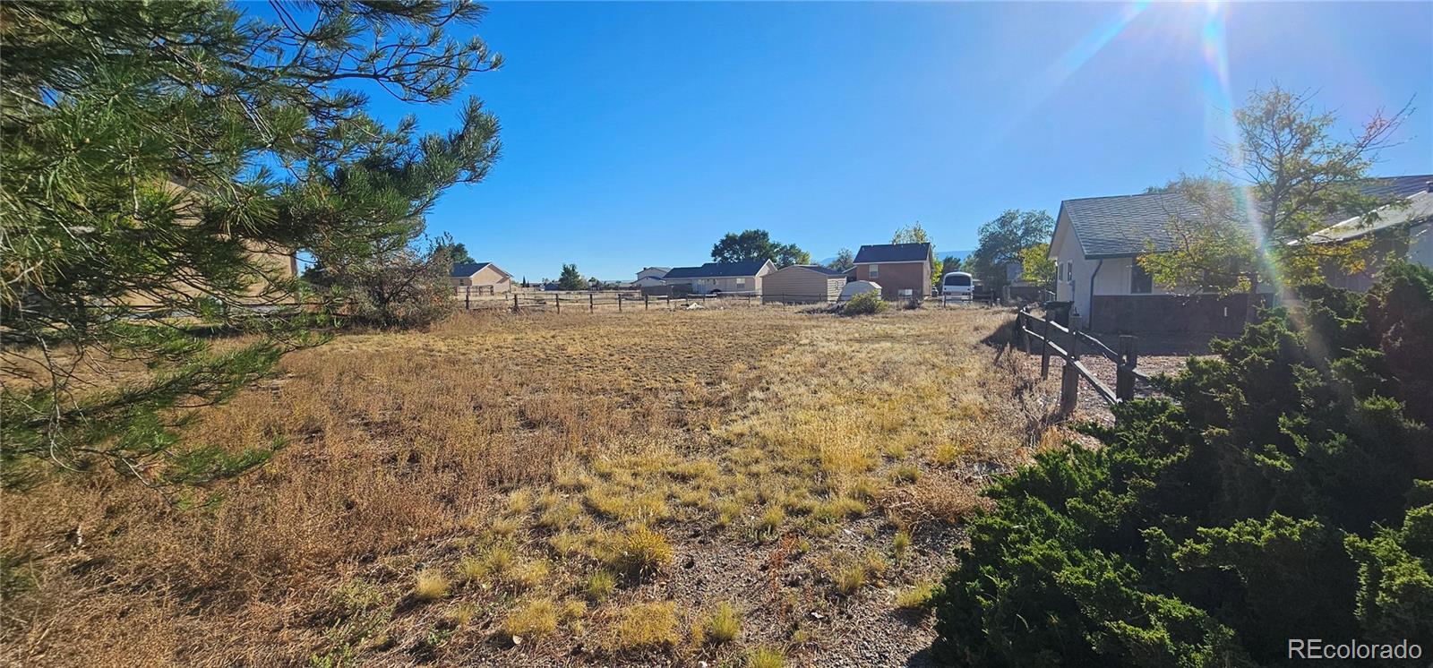 a view of a dry yard with trees