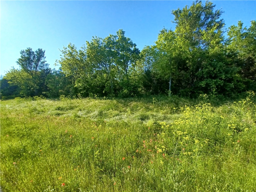 a view of outdoor space with a field and trees in the background