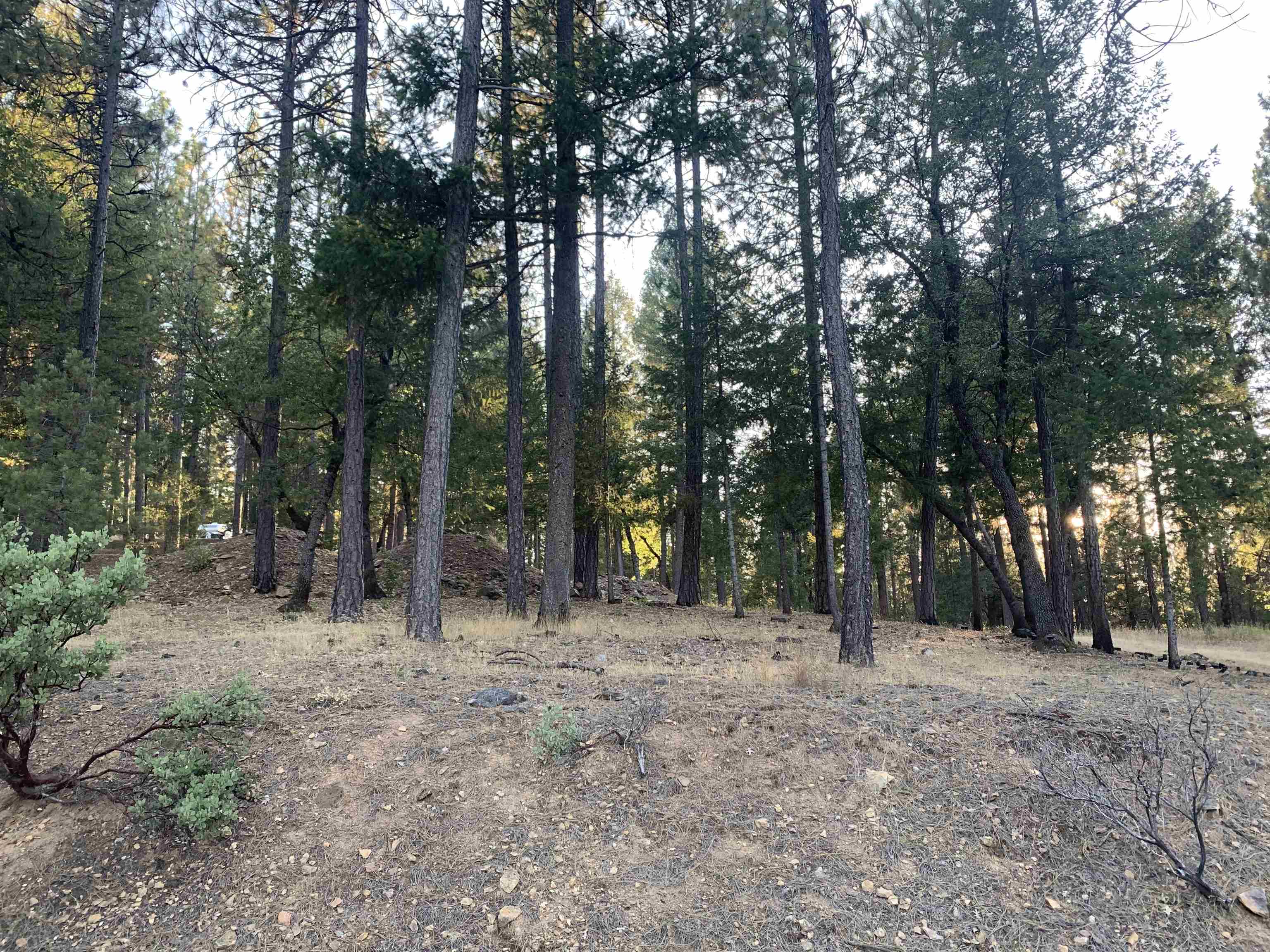 a view of outdoor space with trees