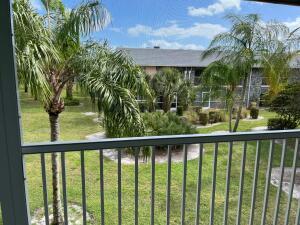 a view of a yard and potted plants