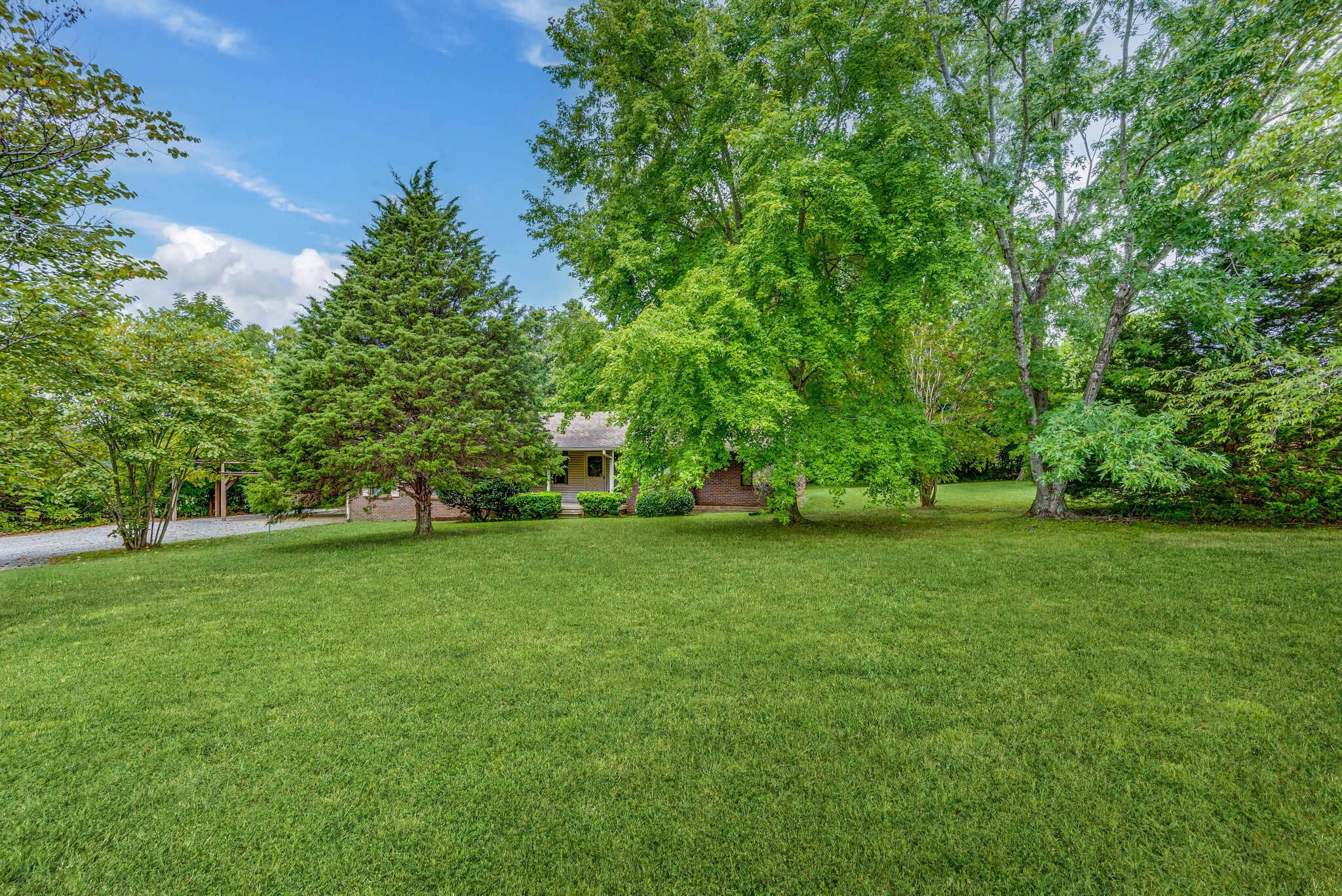 a view of a grassy field with trees