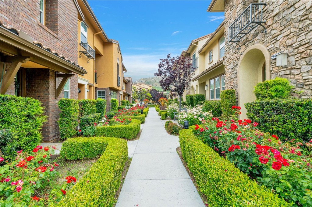 a view of flower garden with flower pots