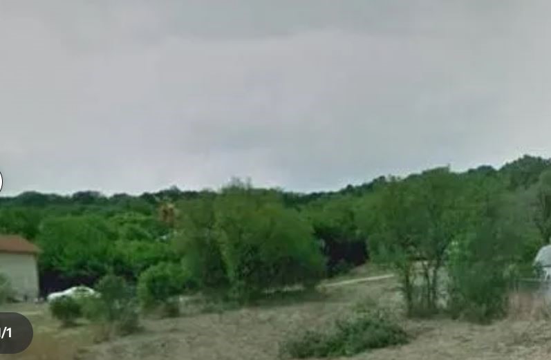 a view of a field with a tree in it