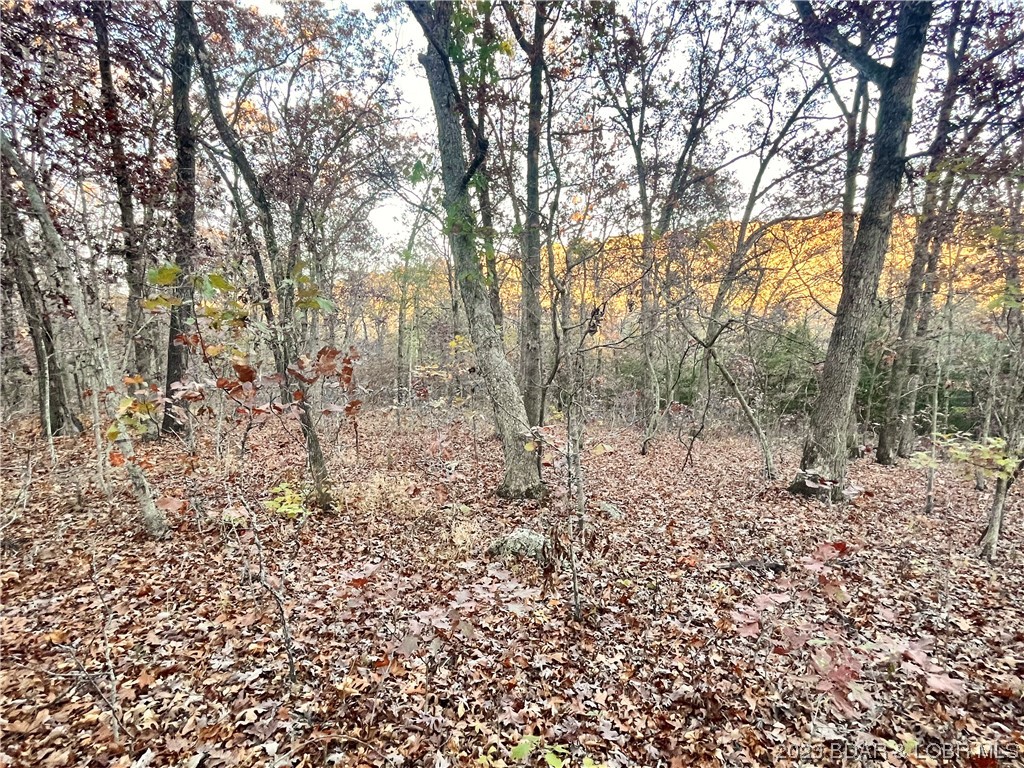 Missouri hardwoods & hunting right down the road.