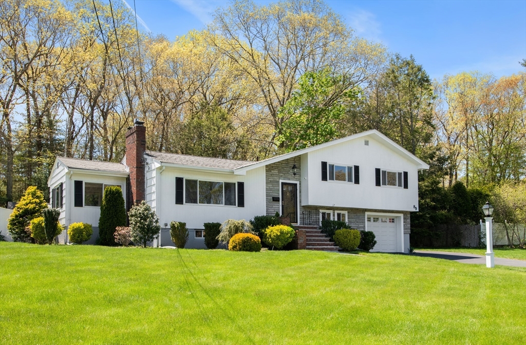 a front view of a house with yard and green space