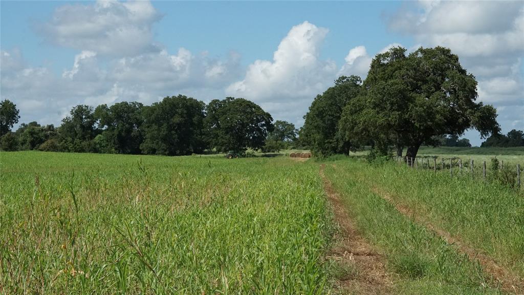 a view of a green field