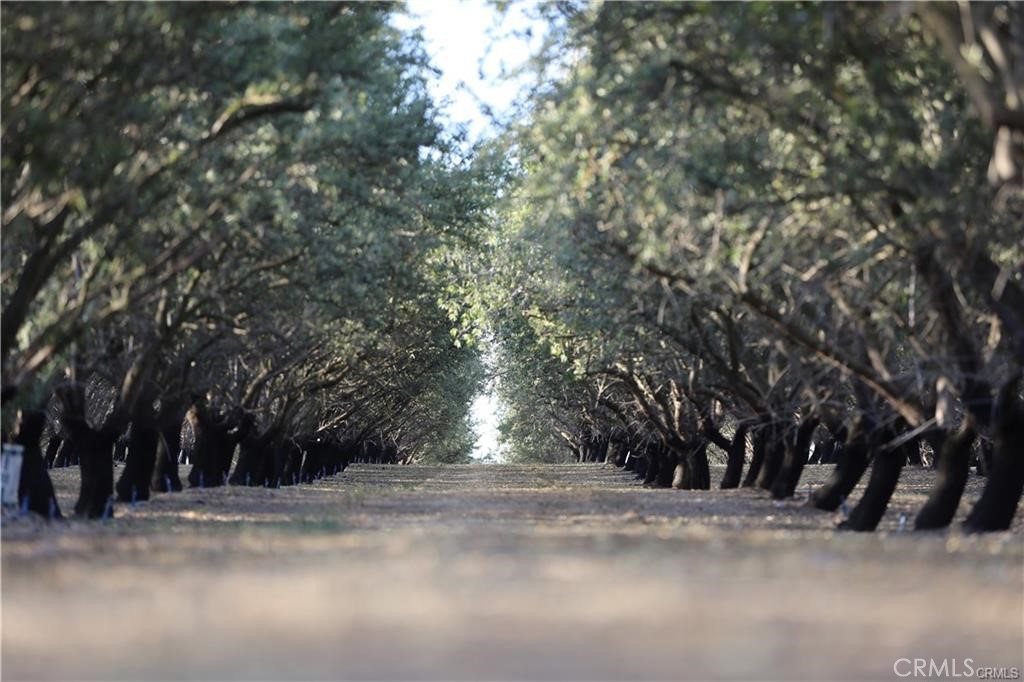 a view of road and trees