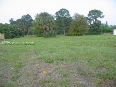 a view of a field with trees in the background