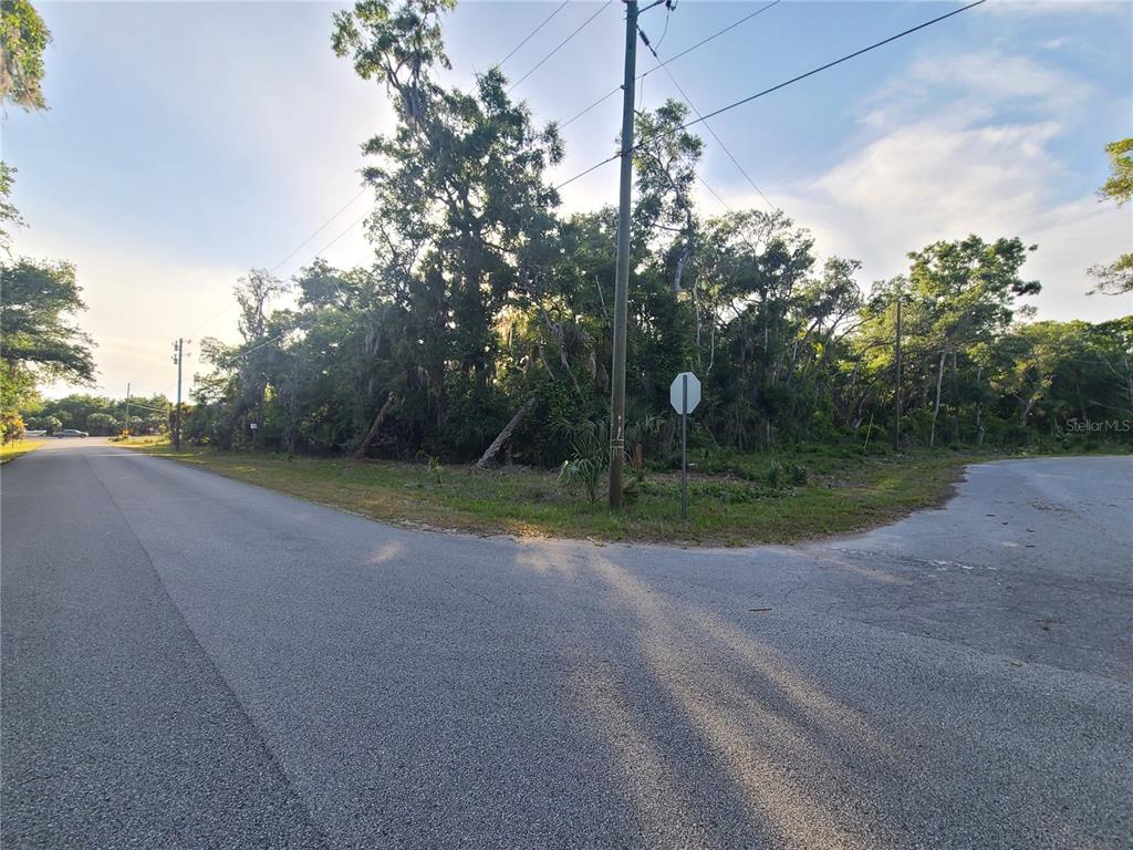 a view of a yard with a tree