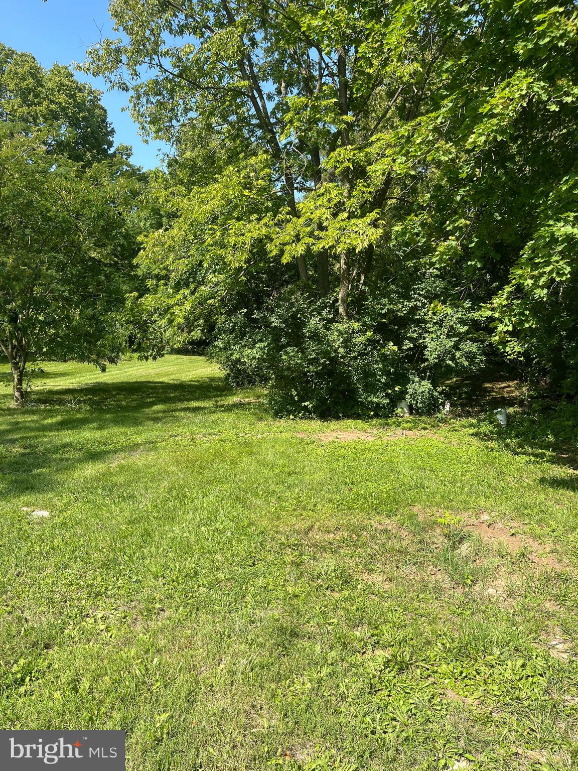 a view of outdoor space with a garden and trees