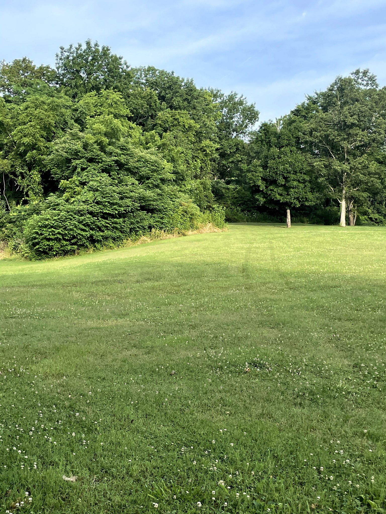 a view of a field with a trees in the background