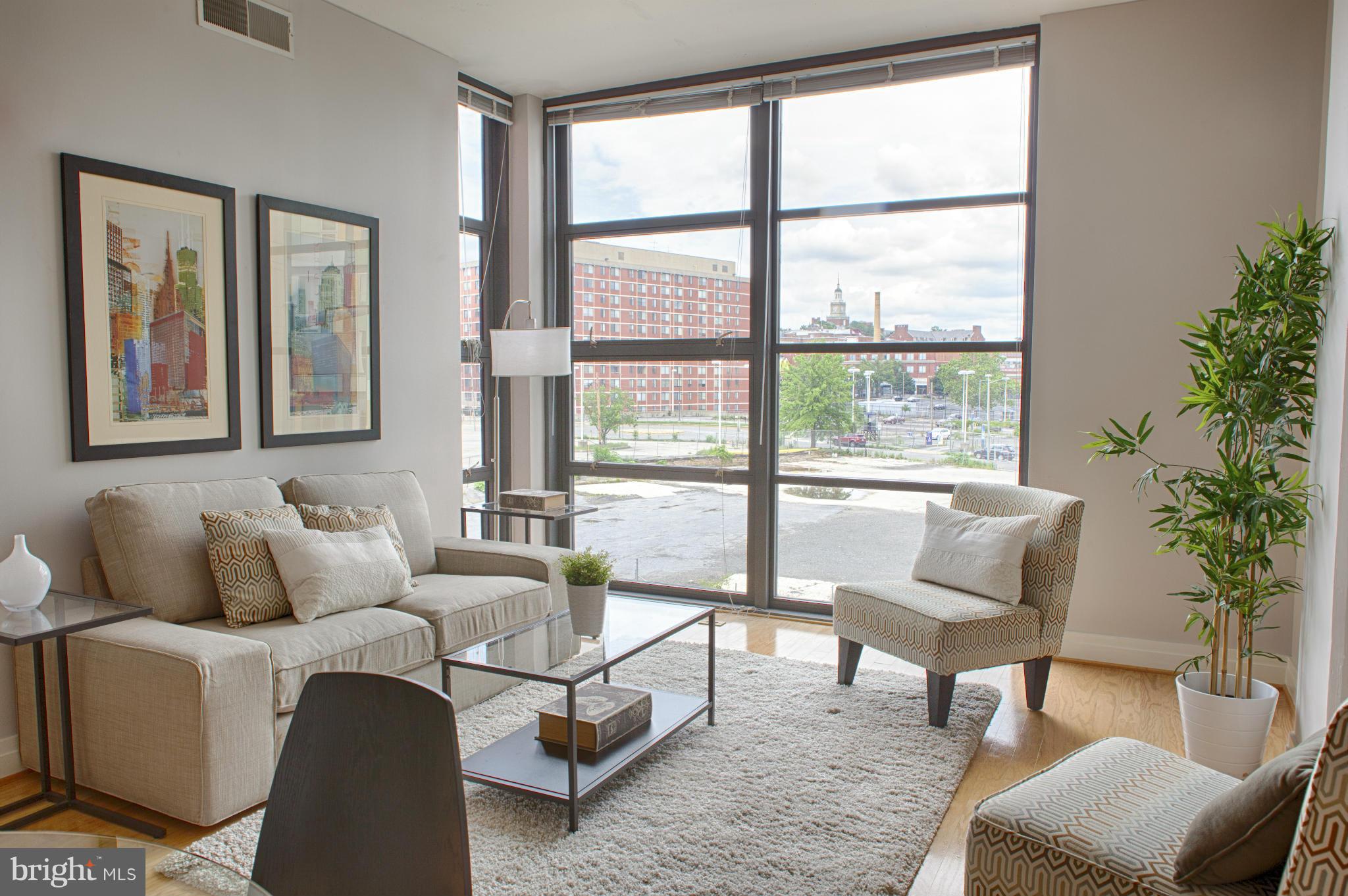 a living room with furniture and a potted plant