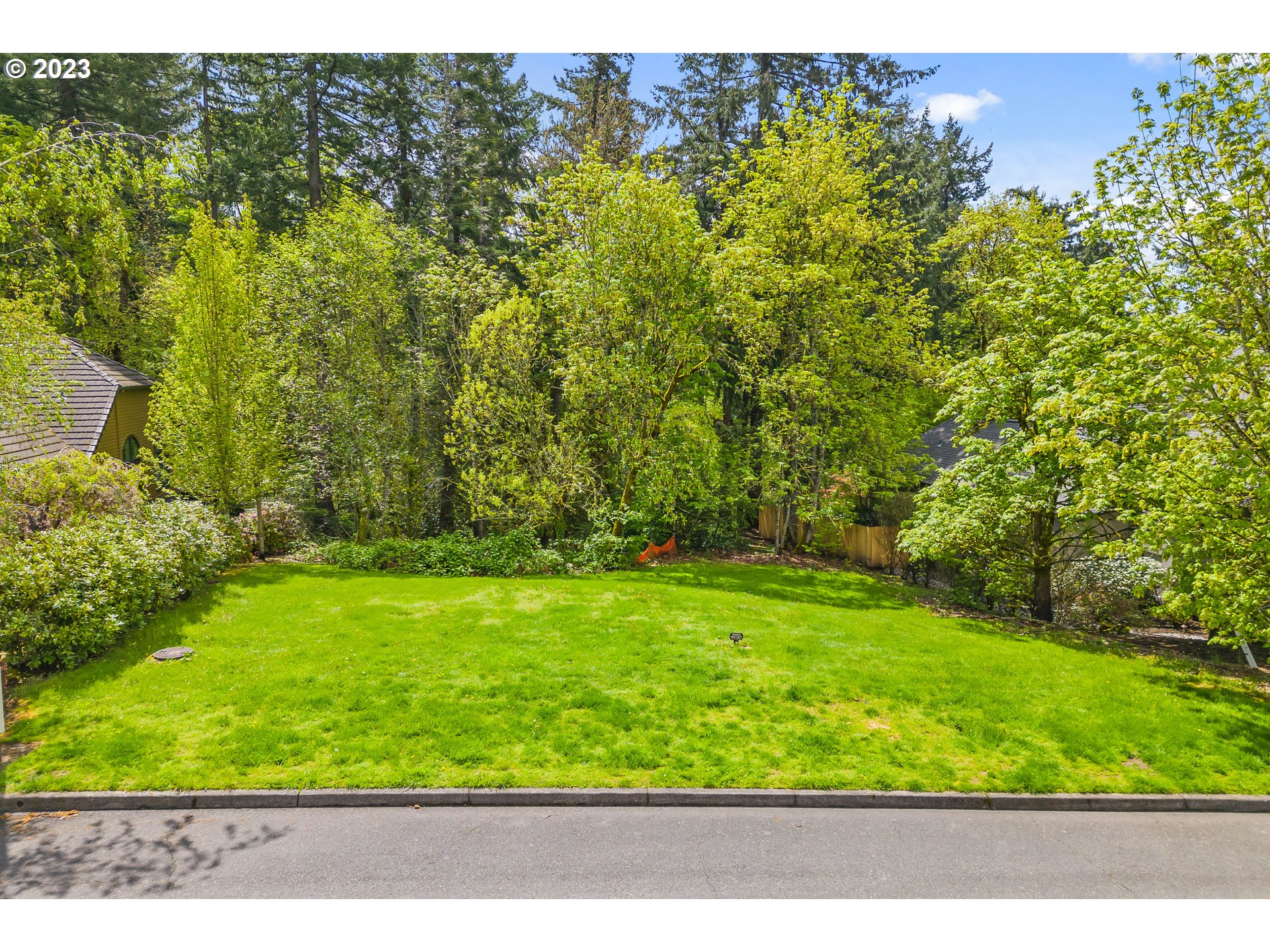 a view of yard with green space