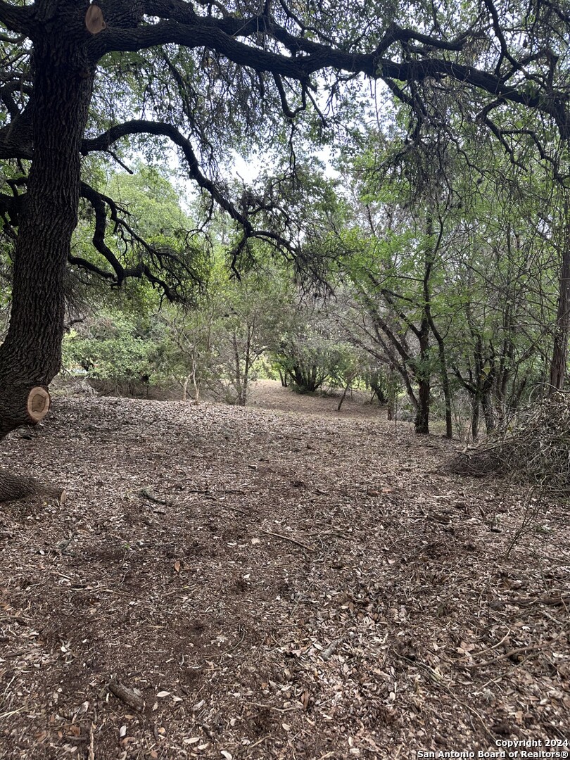 a view of a yard with a tree