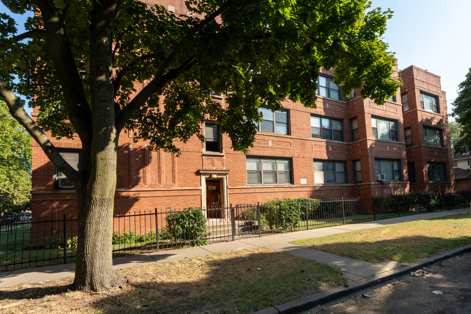 a front view of a house with a yard and large tree