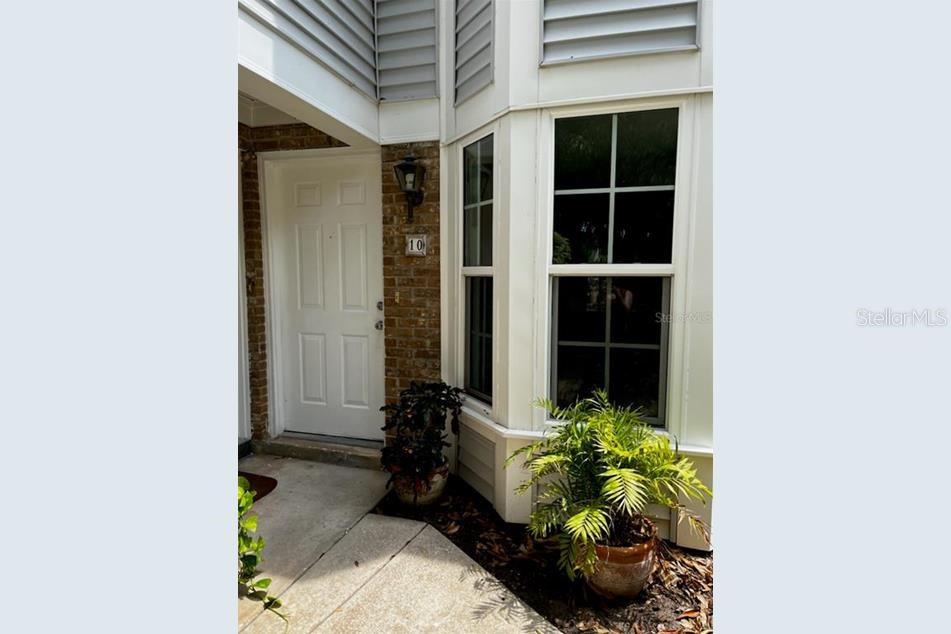 a view of a potted plant in front of a door