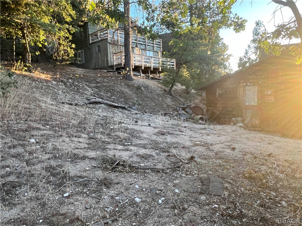 a view of a backyard with large trees