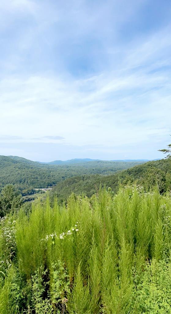 a view of lake with green space