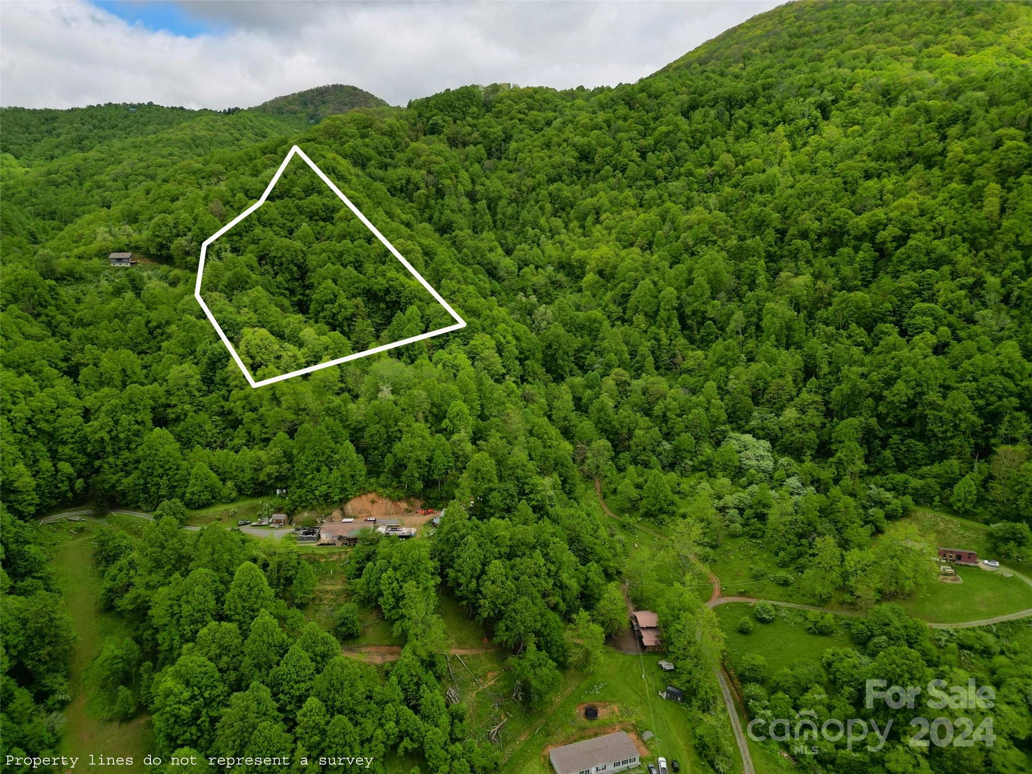 a backyard of a house with lots of green space and mountain view