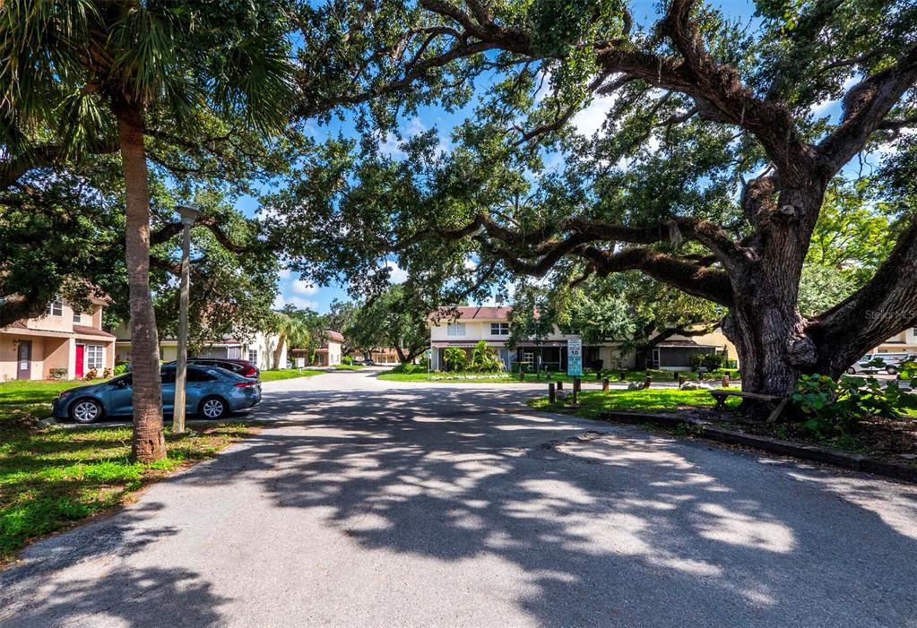 a view of street with trees and a play ground