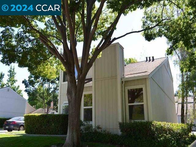 a view of a house with a tree in the yard