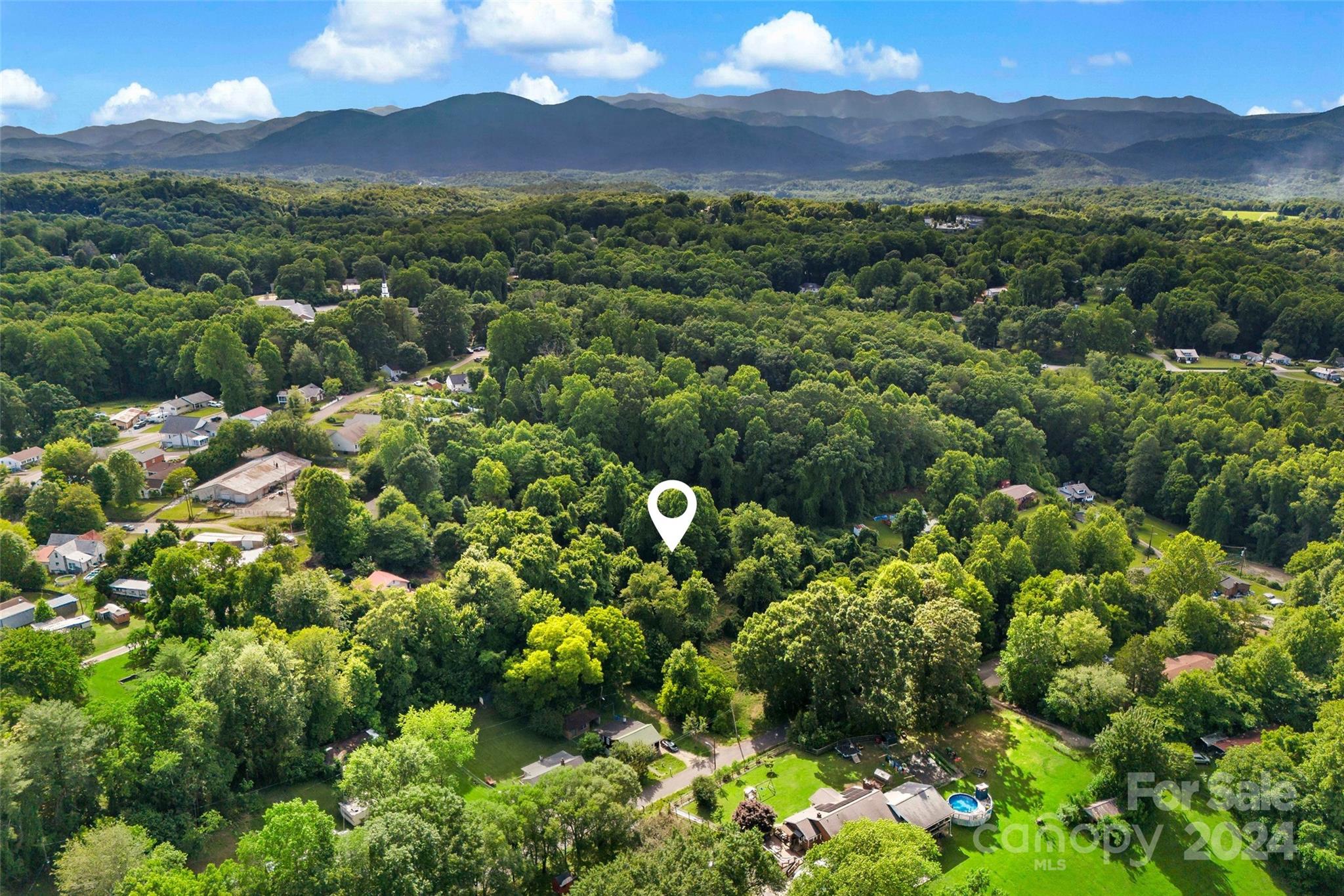 a view of a lush green forest with mountains in the background