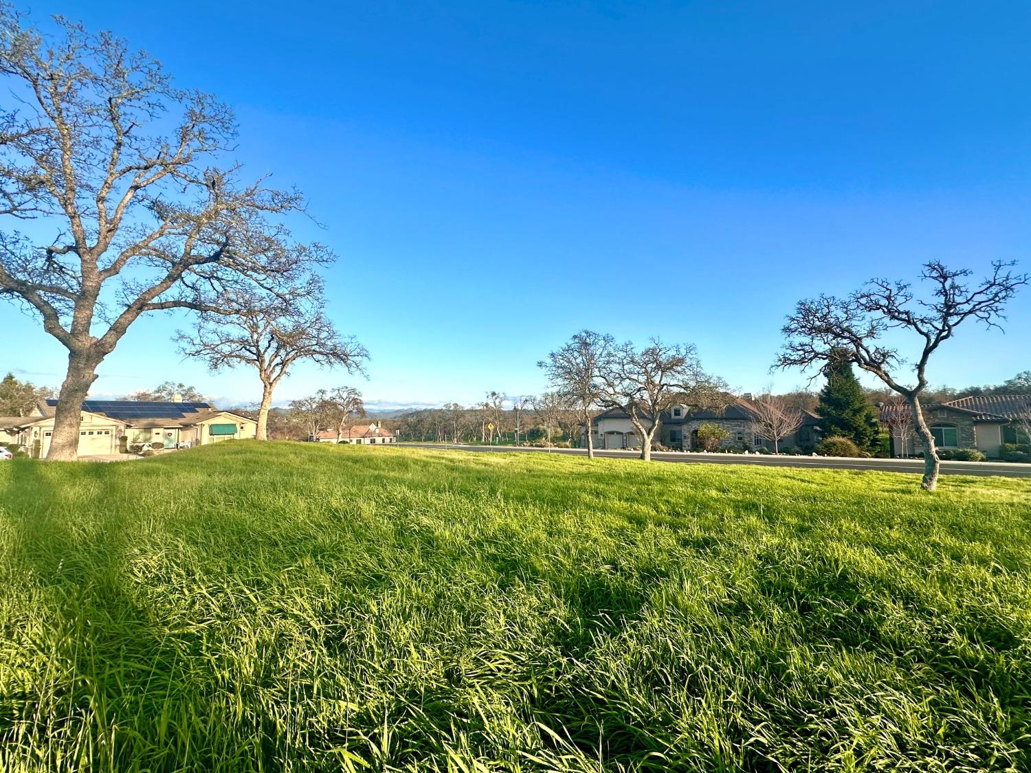 a view of a large yard with lots of green space