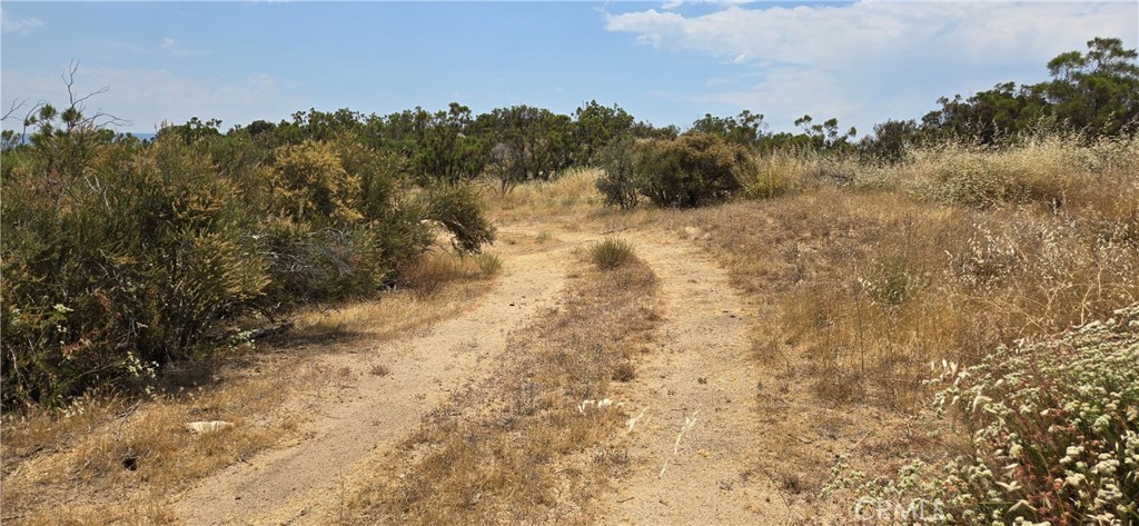 a view of a dry yard with trees in the background