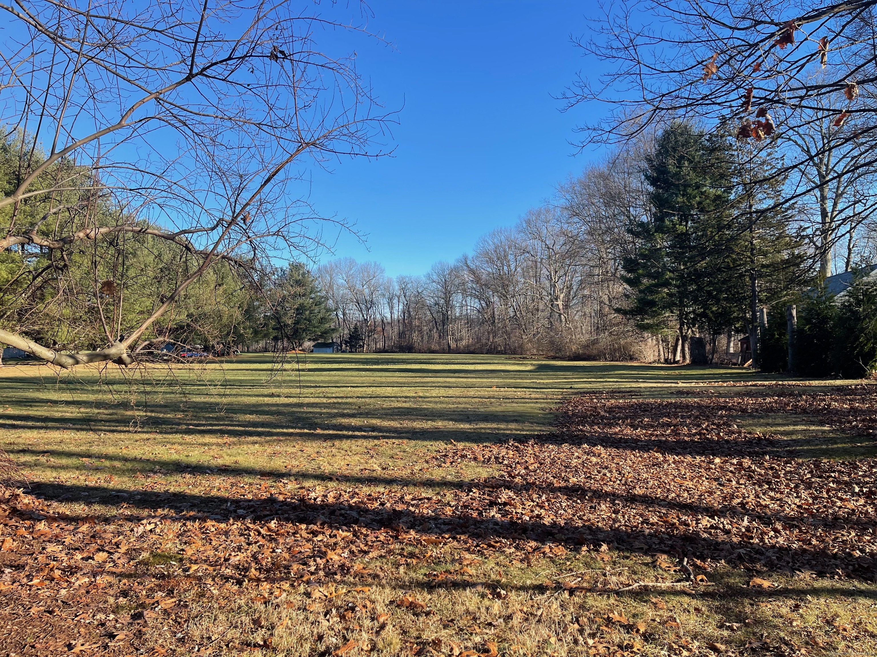 a view of a yard