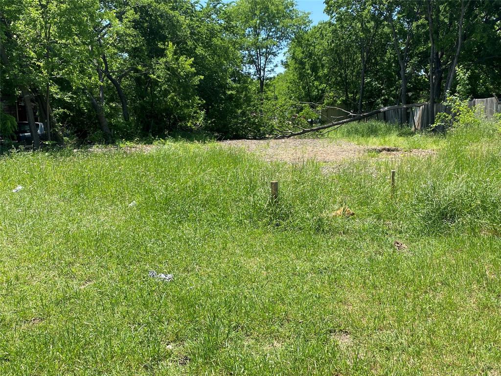 a view of backyard with green space