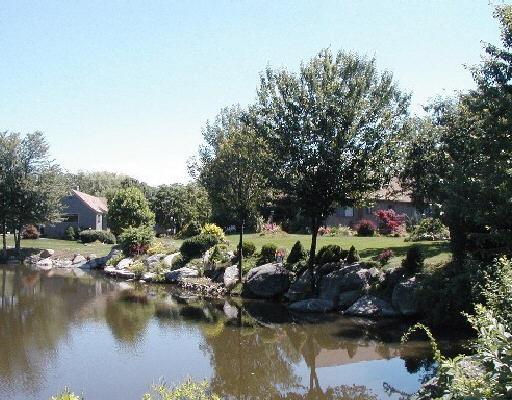 a view of swimming pool and lake view