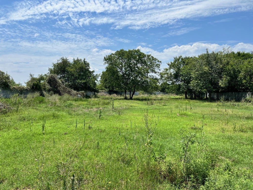 a view of a field with a tree in the background