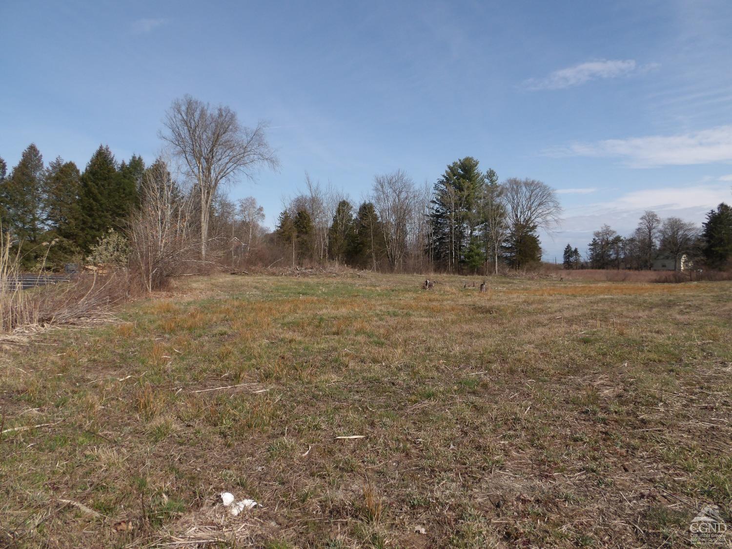 a view of field with trees in background