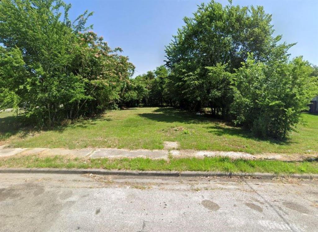 a view of a yard with a tree