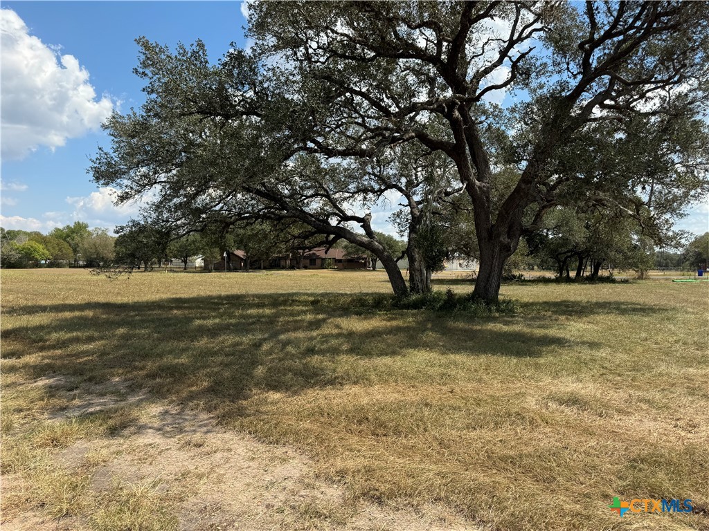 a view of outdoor space with trees