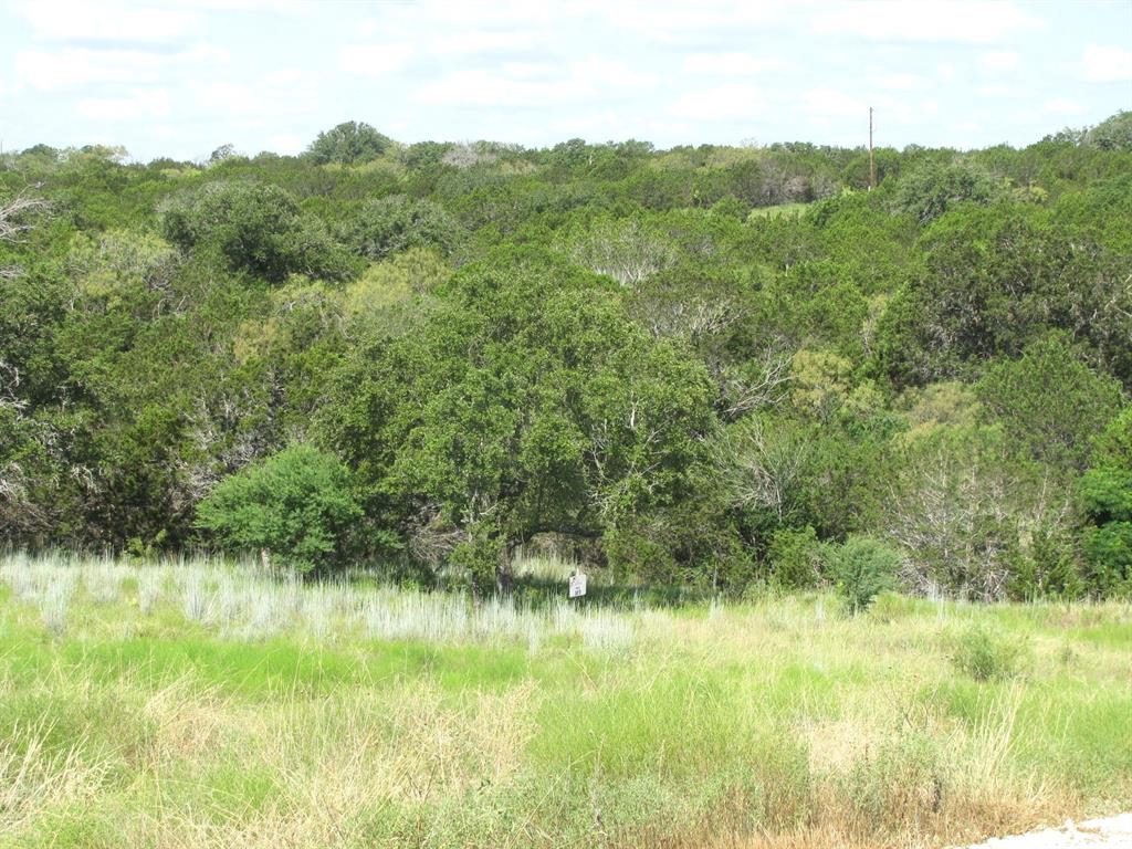 a view of a lush green forest with a lake