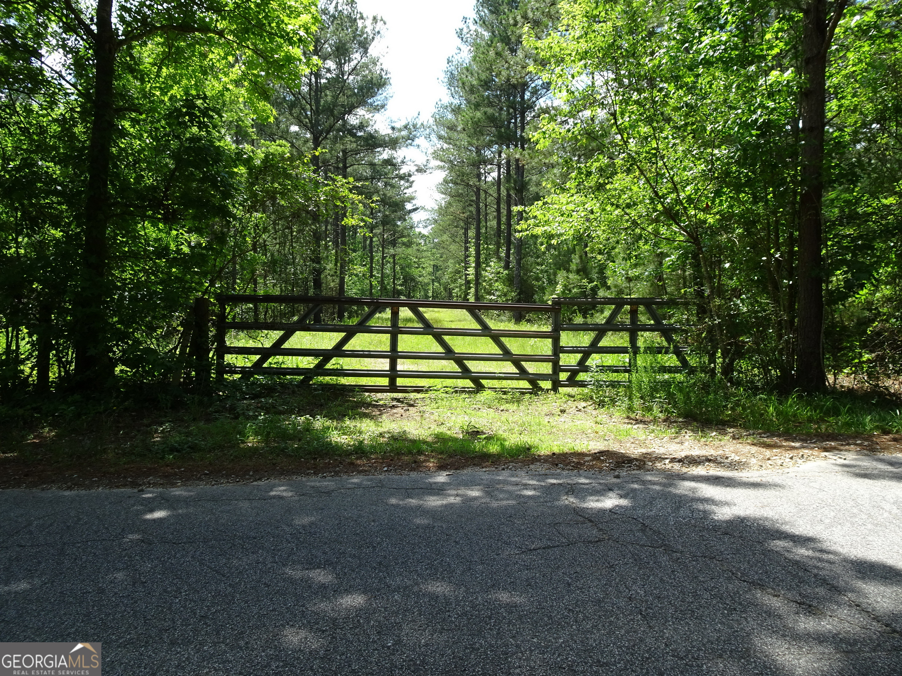 a view of backyard