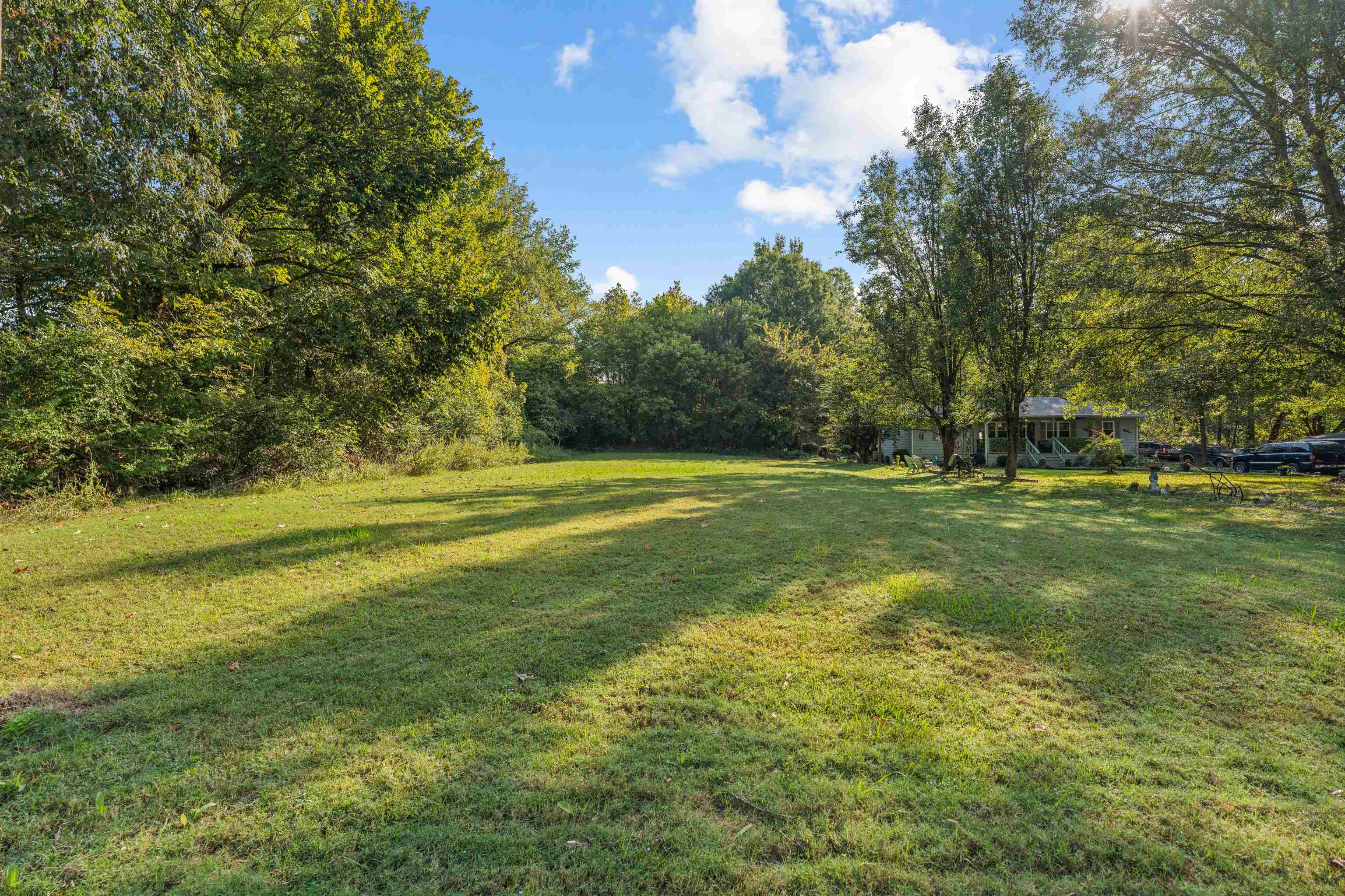 a view of a field with trees in the background