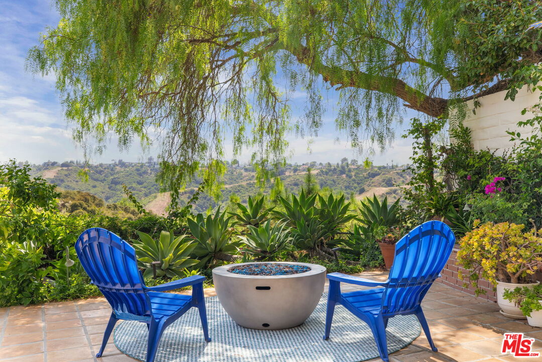 a view of a backyard with plants and chairs