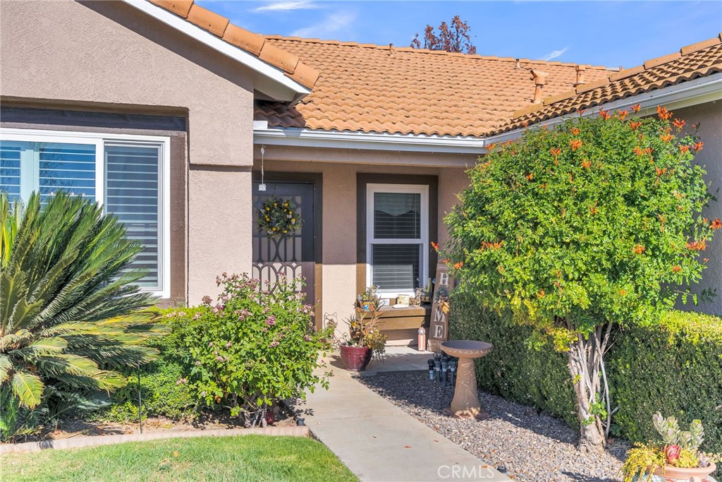 a view of a potted plants in front of a house