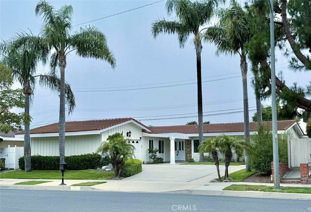 a view of a palm trees front of a building