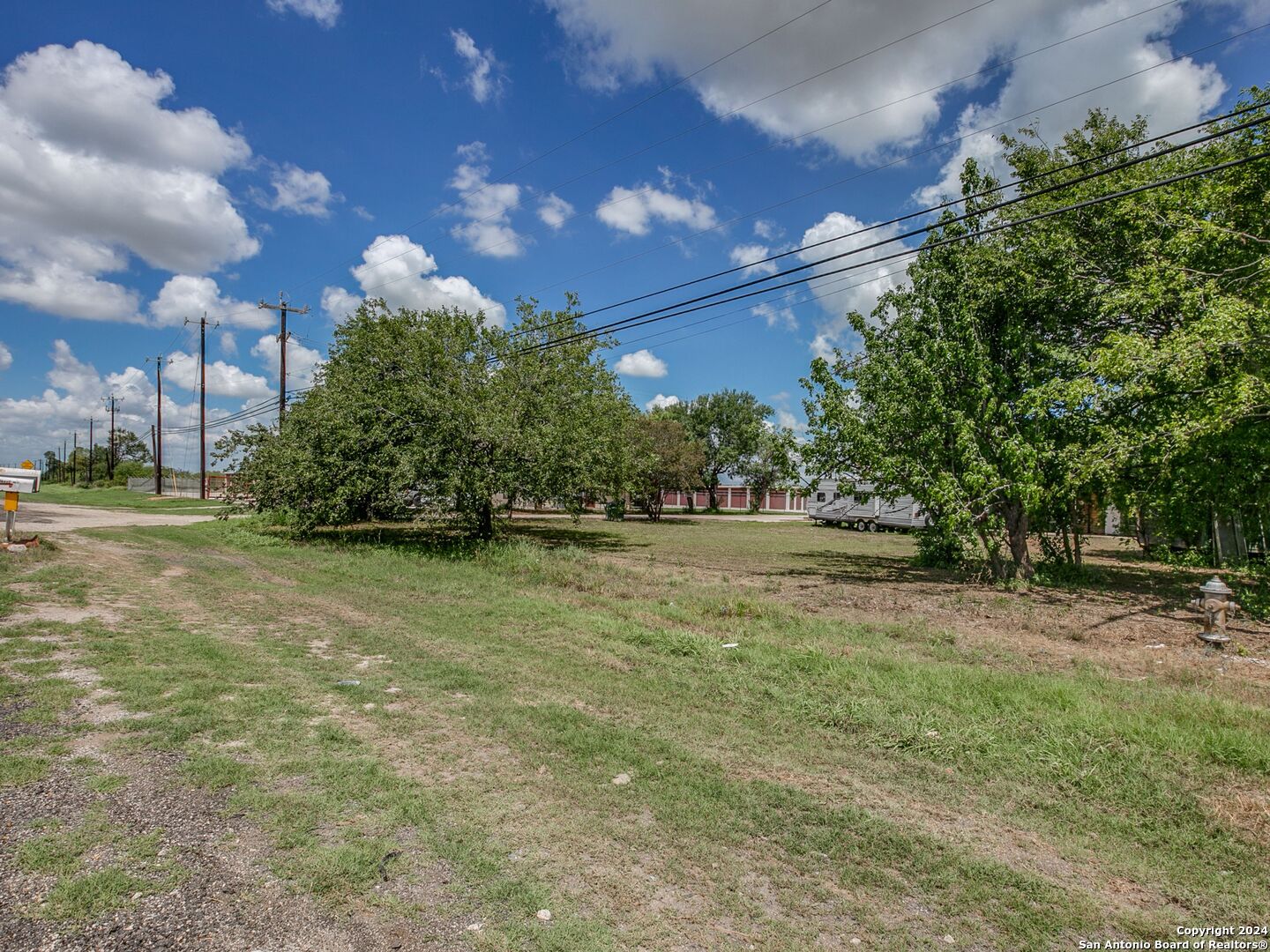 a view of a yard