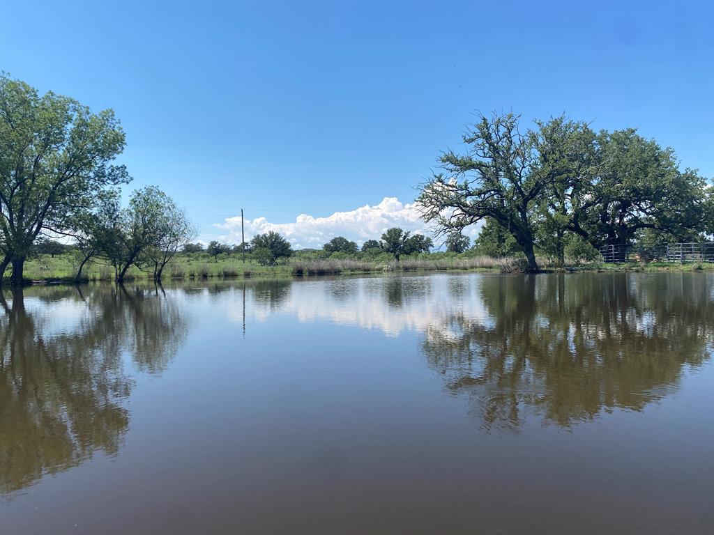 a view of a lake with houses in the background