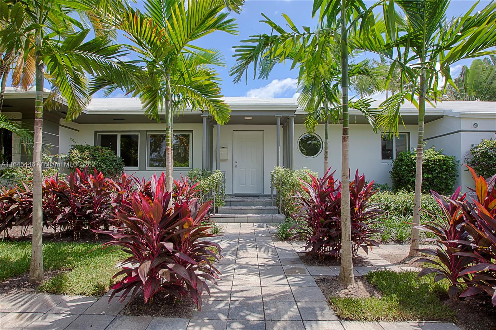 a view of a house with potted plants and a large tree