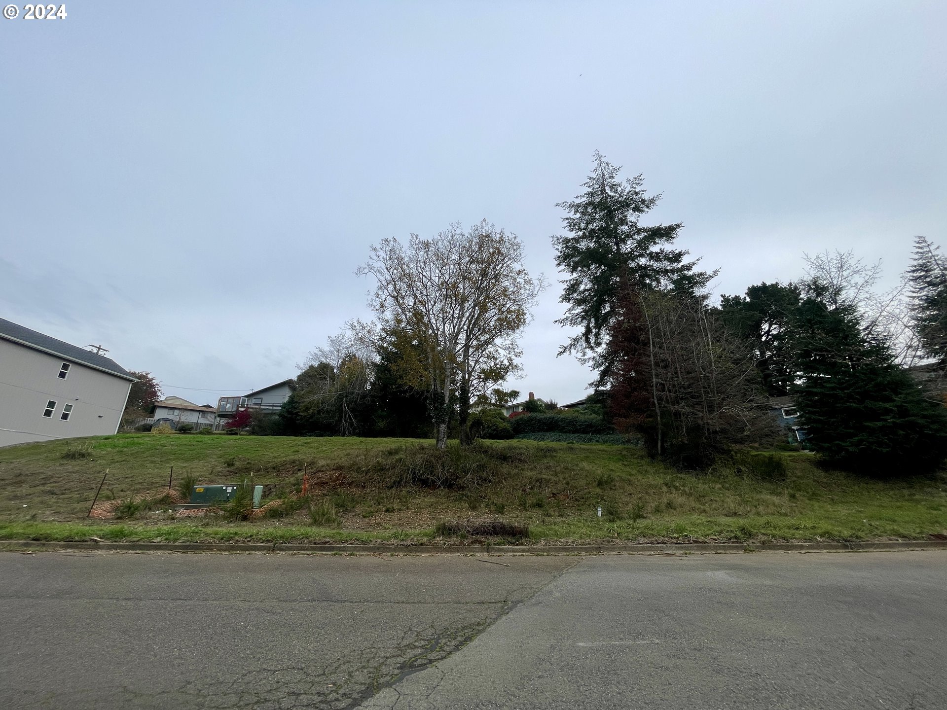 a view of a field with trees